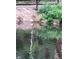 Picturesque pond view with a bird standing in the shallow water at 2840 S Kenton Ct, Aurora, CO 80014
