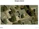 Overhead view of the property showing the home's location, surrounding trees, and driveway at 9 Roder Gate Ln, Castle Pines, CO 80108