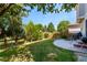 Landscaped backyard with a concrete patio, mature trees, and fence providing a private outdoor retreat at 3505 Dinosaur St, Castle Rock, CO 80109