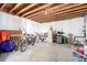 Unfinished basement featuring storage shelves, and open space for customization and multiple bikes at 3505 Dinosaur St, Castle Rock, CO 80109