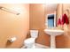 Bathroom features a pedestal sink, light orange walls, and a modern commode at 3505 Dinosaur St, Castle Rock, CO 80109