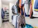 Walk-in closet with shelving, hanging racks and carpeted floor at 3505 Dinosaur St, Castle Rock, CO 80109