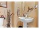 Stylish powder room with a decorative mirror, pedestal sink, and unique artistic accents at 11961 S Saunter Ln, Parker, CO 80138
