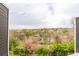 Scenic view from the property overlooking lush greenery and a serene lake, framed by a tree branch at 5250 S Huron Way # 13-312, Littleton, CO 80120