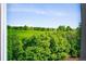 Scenic view of a lush green landscape from the window of a home at 7332 Woodglen Pl, Castle Pines, CO 80108