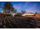 An expansive backyard with mature trees and a detached building at 1742 S Alcott St, Denver, CO 80219