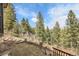 Lawn and terraced backyard leading to the trees and offering a sense of privacy and tranquility at 33121 Lynx Ln, Evergreen, CO 80439