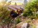 Beautiful exterior of a log home surrounded by pine trees with a stone pathway leading to the front entrance at 33121 Lynx Ln, Evergreen, CO 80439