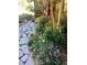 Landscaped yard with stone path and flowers, leading to a porch with an American flag at 33121 Lynx Ln, Evergreen, CO 80439