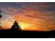 Sunset view with a tree silhouette and colorful clouds in the sky at 33121 Lynx Ln, Evergreen, CO 80439