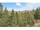 Expansive view of the lush green forest and mountains in the distance at 33121 Lynx Ln, Evergreen, CO 80439