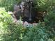 Charming water feature surrounded by rocks and lush greenery at 33121 Lynx Ln, Evergreen, CO 80439