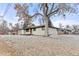 Charming home featuring mature trees, a white brick facade, and cozy front porch at 11241 W 60Th Ave, Arvada, CO 80004