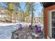 The backyard patio has purple Adirondack chairs and a view of the house and surrounding trees at 876 Broken Lance Dr, Breckenridge, CO 80424