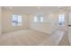 Bright loft area with plush carpet, white walls, and three windows with neighborhood views at 7321 Waterleaf Trl, Littleton, CO 80125