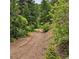 Dirt road or trail winding through lush green trees, perfect for hiking and outdoor adventures at 2602 Hidden Valley Road, Sedalia, CO 80135