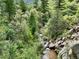 Panoramic view of a lush landscape with trees and a stream flowing through at 2602 Hidden Valley Road, Sedalia, CO 80135