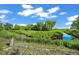 A serene creek runs along the edge of a lush green field, perfect for a tranquil escape into nature at 9465 W 77Th Dr, Arvada, CO 80005