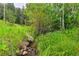 A peaceful stream flows through lush greenery, creating a serene and natural setting at 7559 S Turkey Creek Rd, Morrison, CO 80465