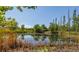 Serene pond with lush vegetation and clear reflections at 7447 Quay St, Arvada, CO 80003