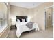 A cozy bedroom features neutral walls, carpet, and abundant natural light from a nearby window at 457 Black Feather Loop # 703, Castle Rock, CO 80104