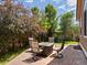 Landscaped backyard with patio, fire pit, and mature trees, ideal for outdoor living at 885 Sage Sparrow Cir, Highlands Ranch, CO 80129