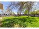 Large, grassy backyard featuring mature trees, a wooden fence, and room for outdoor activities and relaxation at 7367 Coors St, Arvada, CO 80005