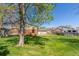 Green backyard featuring a lush lawn, mature trees, wooden fence, and the home's exterior with brick accents at 7367 Coors St, Arvada, CO 80005