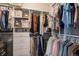 Organized walk-in closet with ample shelving, drawers, and hanging space for wardrobe storage at 3091 Keepsake Way, Castle Rock, CO 80109