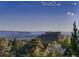 Expansive scenic view overlooking rolling hills and lush green trees under a bright blue sky at 2010 Saddleback Dr, Castle Rock, CO 80104