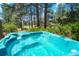 Relax in the luxurious blue hot tub surrounded by lush greenery and tall trees at 6650 Village Rd, Parker, CO 80134