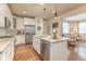 Spacious kitchen with stainless steel appliances, island, and open layout at 3793 Cadence Dr, Castle Rock, CO 80109