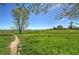 Tranquil view of a green field, ideal for walks, under a partially cloudy sky at 11257 W Radcliffe Dr, Littleton, CO 80127