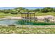 Picturesque pond with a cabana and a waterfall, creating a serene and inviting outdoor retreat at 1140 Lake Gulch Rd, Castle Rock, CO 80104