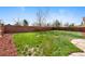 Expansive backyard with a well-maintained lawn and a wood fence, providing ample privacy at 1444 S Richfield Way, Aurora, CO 80017