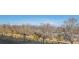 Scenic street view with mature trees and mountain views at 420 E Fremont Pl # 203, Centennial, CO 80122
