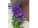 Charming exterior showcasing vibrant purple flowers, brick accents, and a well-maintained front yard at 3434 S Race St, Englewood, CO 80113