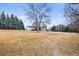 Large backyard features a covered pool, mature trees, and landscaping, surrounded by lush evergreens at 7829 Nile Cir, Arvada, CO 80007