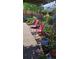 Cozy brick patio boasts colorful flowers, hanging baskets, and comfortable chairs, perfect for relaxing outdoors at 20764 E 47Th Ave, Denver, CO 80249