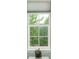 Window overlooking lush greenery with a white frame and pleated shades at 10696 Riverbrook Cir, Highlands Ranch, CO 80126
