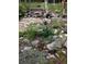 Scenic garden featuring wildflowers, a bench, and a rock with a Kansas Jayhawks emblem at 30382 Marys Dr, Conifer, CO 80433
