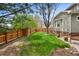 Spacious backyard featuring a lush lawn, mature trees, and a wooden fence for privacy at 2595 S Adams St, Denver, CO 80210