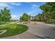A community playground features play structures, benches, and a covered picnic area, set against a backdrop of green trees at 9602 Indian Wells Dr, Lone Tree, CO 80124