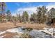 Backyard featuring mature trees and partial snow coverage at 27231 Log Trl, Conifer, CO 80433