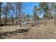 A view of the property featuring mature trees and a blend of natural vegetation at 27231 Log Trl, Conifer, CO 80433