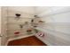 Walk-in pantry with ample shelving and storage for food and kitchen essentials at 3855 Old Oaks St, Castle Rock, CO 80104