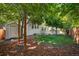 Spacious backyard featuring a shed, an outdoor shower, mature trees and lush grass at 19118 E Grand Cir, Aurora, CO 80015