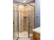 Bathroom features a glass shower door with a neutral-colored shower at 674 Huntington Dr, Highlands Ranch, CO 80126
