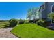 Expansive backyard with lush green grass and mature landscaping providing a serene outdoor space at 9728 Ashleigh Ln, Highlands Ranch, CO 80126