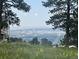Scenic view of Denver skyline and foothills through the trees and tall grass at 21531 Main Ave, Golden, CO 80401